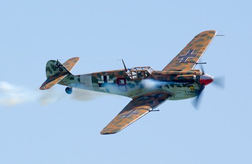 Buchon