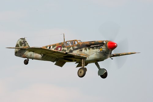 Buchon
