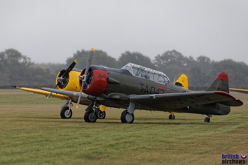 Texans at Headcorn 2020