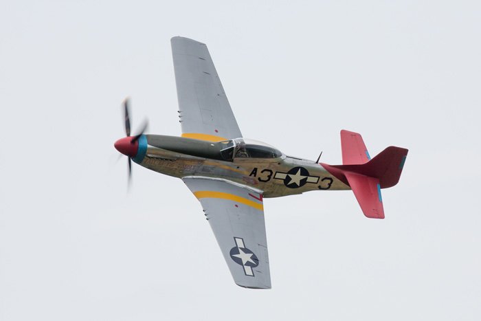 Mustang 'Tall in the Saddle'