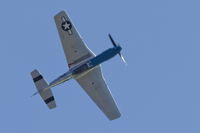 Mustang 'Moonbeam McSwine