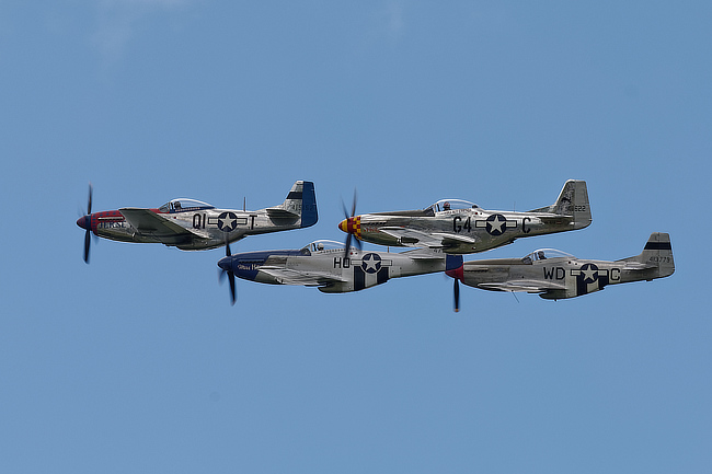 Mustang Quartet on Sunday