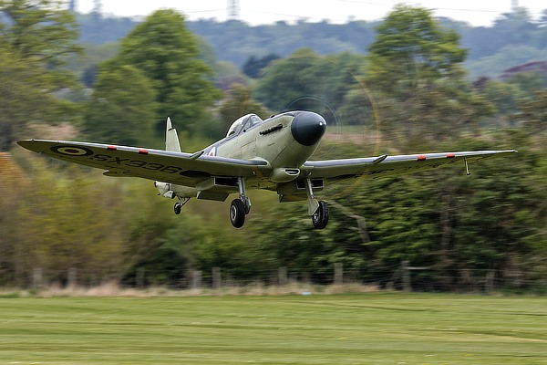 Seafire