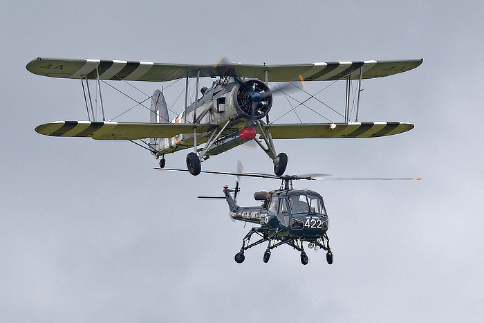 Swordfish and Wasp, Navy Wings