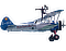 Aerosuperbatics Wingwalker