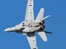 Swiss F/A-18 