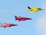 Gnat Display Team