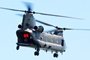 Chinook