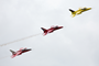 Gnat Display Team