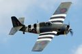 Grumman Wildcat