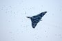 Avro Vulcan disturbs nesting birds
