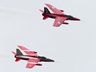 Gnat Display Team