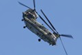 Chinook