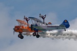 Wingwalkers 9964_v2_1