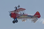 wingwalker 2036
