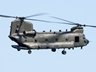 Chinook