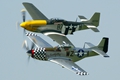 P51 Mustang Pair (2005)