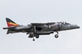 Harrier