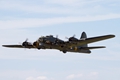 Sally B