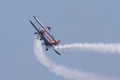 Wingwalkers