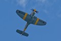 Sea Fury