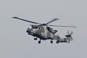 Royal Navy Wildcat 0301