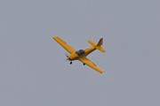 Slingsby Firefly 8133