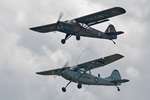 Auster AP06 and Cessna O-1 Bird Dog 7825