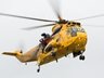 Sea King
