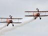 Wingwalkers