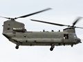 Chinook