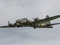 Sally B