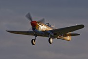 Curtiss P-40F 'Warhawk' Lee's hope 6155
