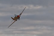 Curtiss P-40F 'Warhawk' Lee's Hope 6425