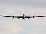 Sally B