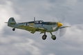 Buchon Yellow 10 8528