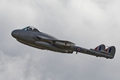 de Havilland Vampire 8557