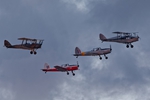 Chipmunks, Tiger Moth and Fox Moth 1893