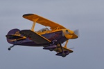 Pitts 1538