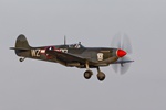 Spitfire 1368