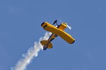 Pitts Special 7332