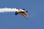 Pitts Special 7334