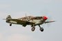 Buchon