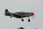 P-51D Mustang 'The Shark'