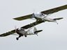 Cub with Auster