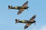 Spitfires