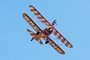 Wingwalkers