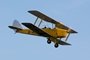 Tiger Moth