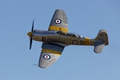 Sea Fury WG655