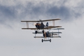 Great War Display Team